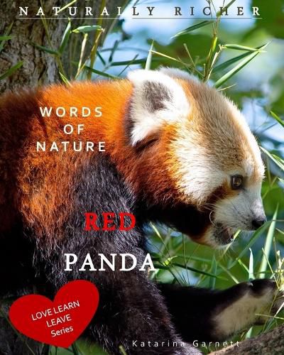 Cover image for Red Panda: Words of Nature