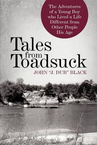 Cover image for Tales from Toadsuck