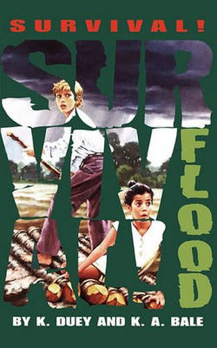 Cover image for Flood: Mississippi 1927