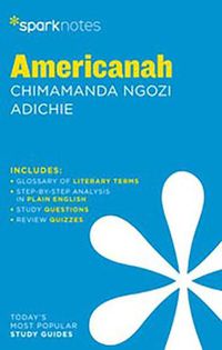 Cover image for Americanah by Chimamanda Ngozi Adichie