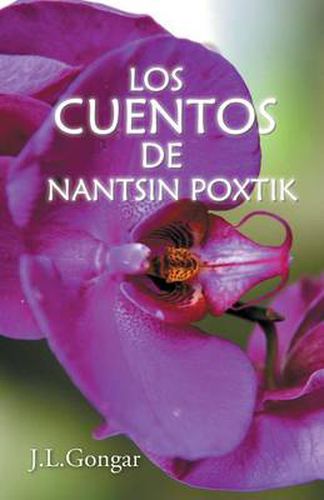 Cover image for Los cuentos de Nantsin Poxtik