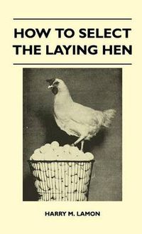 Cover image for How To Select The Laying Hen