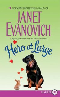 Cover image for Hero at Large