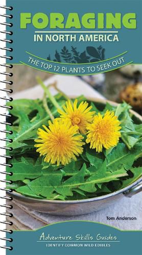 Cover image for Foraging in North America: The Top 12 Plants to Seek Out