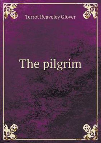 Cover image for The pilgrim