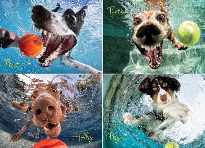 Cover image for Underwater Dogs: Play Ball Jigsaw