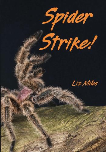 Cover image for Spider Strike!
