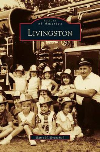 Cover image for Livingston