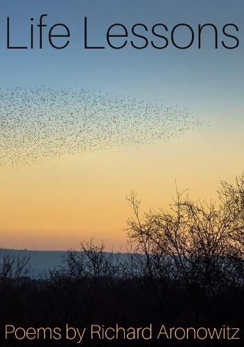 Cover image for Life Lessons