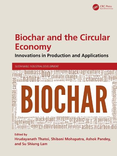 Cover image for Biochar and the Circular Economy