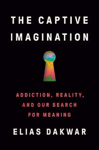 Cover image for The Captive Imagination