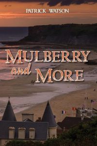 Cover image for Mulberry and More