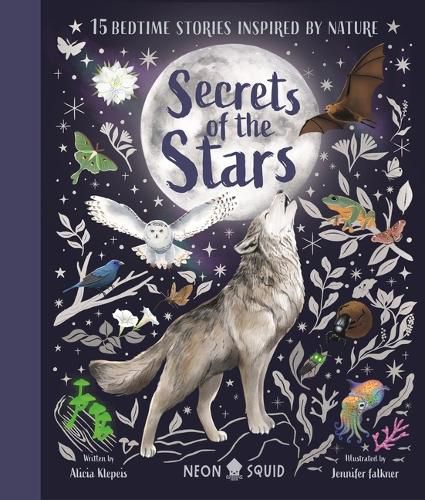 Cover image for Secrets of the Stars