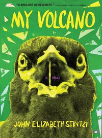 Cover image for My Volcano
