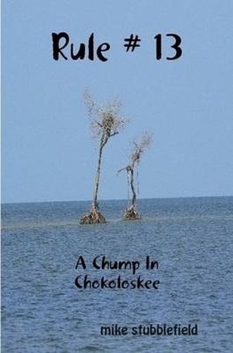 Cover image for Rule # 13