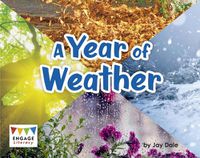 Cover image for A Year of Weather