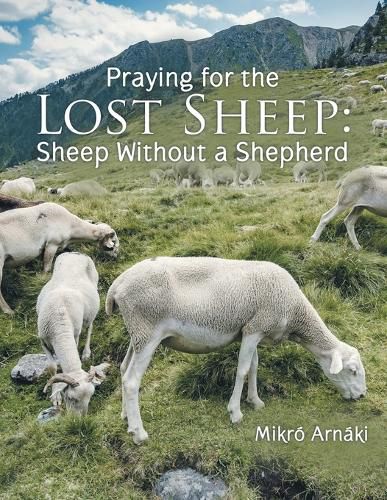Cover image for Praying for the Lost Sheep