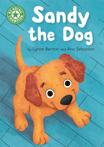 Cover image for Reading Champion: Sandy the Dog: Independent Reading Green 5