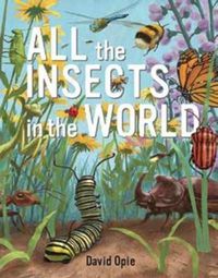 Cover image for All the Insects in the World