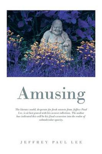 Cover image for Amusing