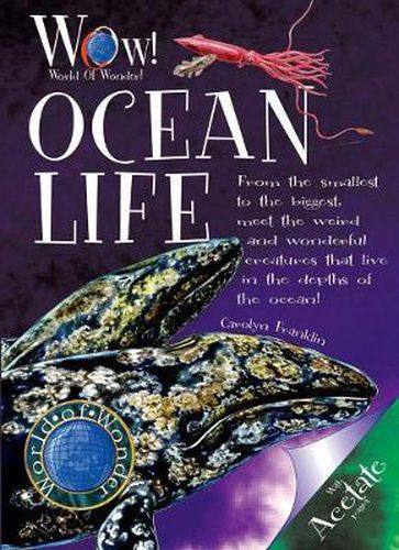 Cover image for Ocean Life
