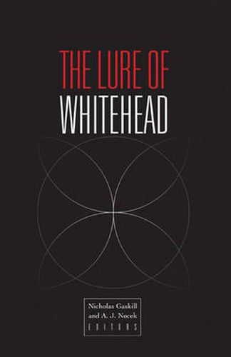 Cover image for The Lure of Whitehead