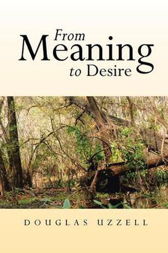 Cover image for From Meaning to Desire