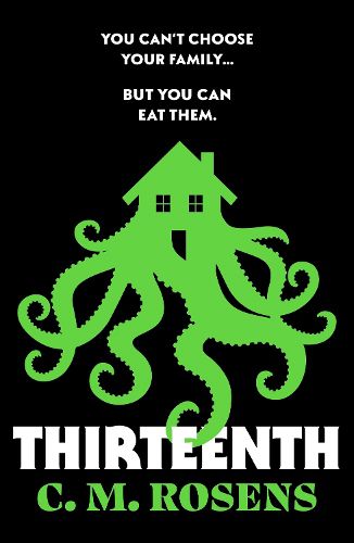 Cover image for Thirteenth