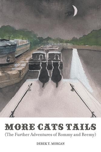 Cover image for More Cats Tails: The Further Adventures of Rommy and Reemy