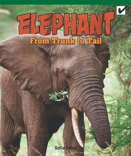 Cover image for Elephant: From Trunk to Tail