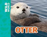 Cover image for Otter