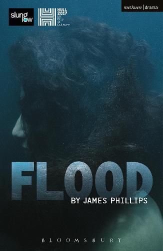 Cover image for Flood