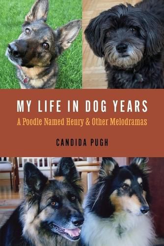 Cover image for My Life in Dog Years