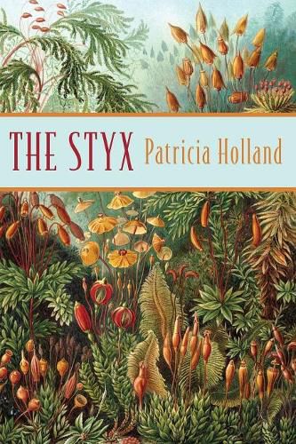 Cover image for The Styx