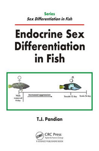 Cover image for Endocrine Sex Differentiation in Fish