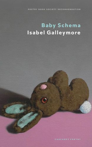 Cover image for Baby Schema