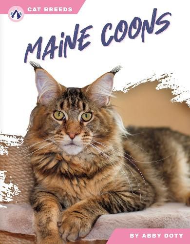 Cover image for Maine Coons