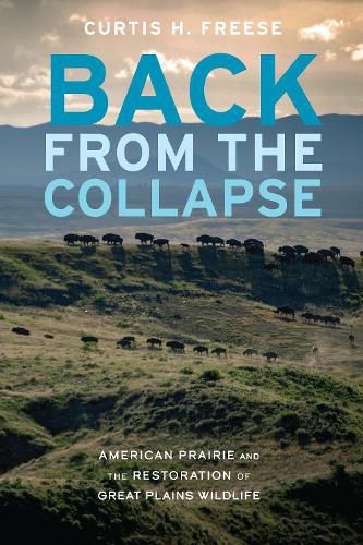 Cover image for Back from the Collapse