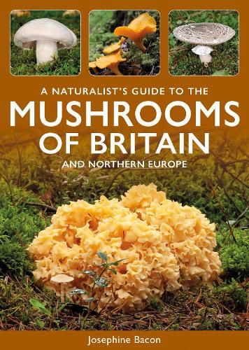 A Naturalist's Guide to the Mushrooms of Britain and Northern Europe