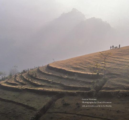 Cover image for Lost in Vietnam