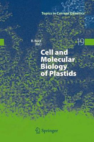 Cover image for Cell and Molecular Biology of Plastids