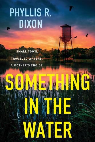 Cover image for Something in the Water
