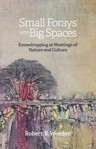 Cover image for Small Forays Into Big Spaces