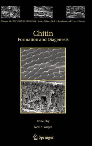 Cover image for Chitin: Formation and Diagenesis