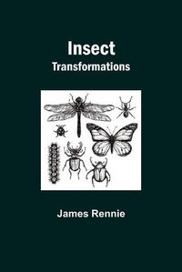 Cover image for Insect Transformations