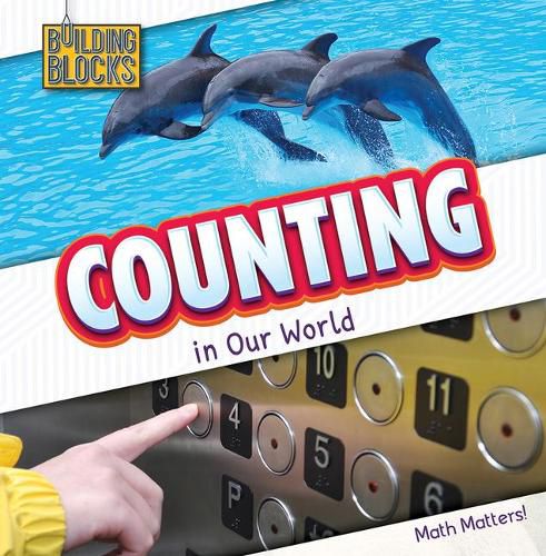 Cover image for Counting in Our World