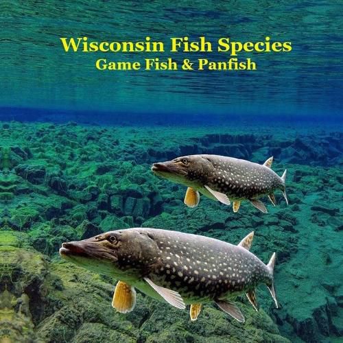 Cover image for Wisconsin Game Fish and Panfish Species Kids Book