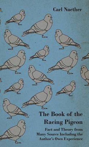 Cover image for The Book Of The Racing Pigeon - Fact And Theory From Many Source Including The Author's Own Experience