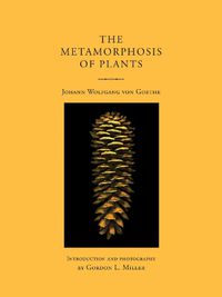 Cover image for The Metamorphosis of Plants