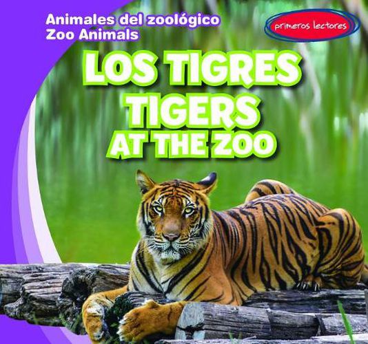 Los Tigres / Tigers at the Zoo